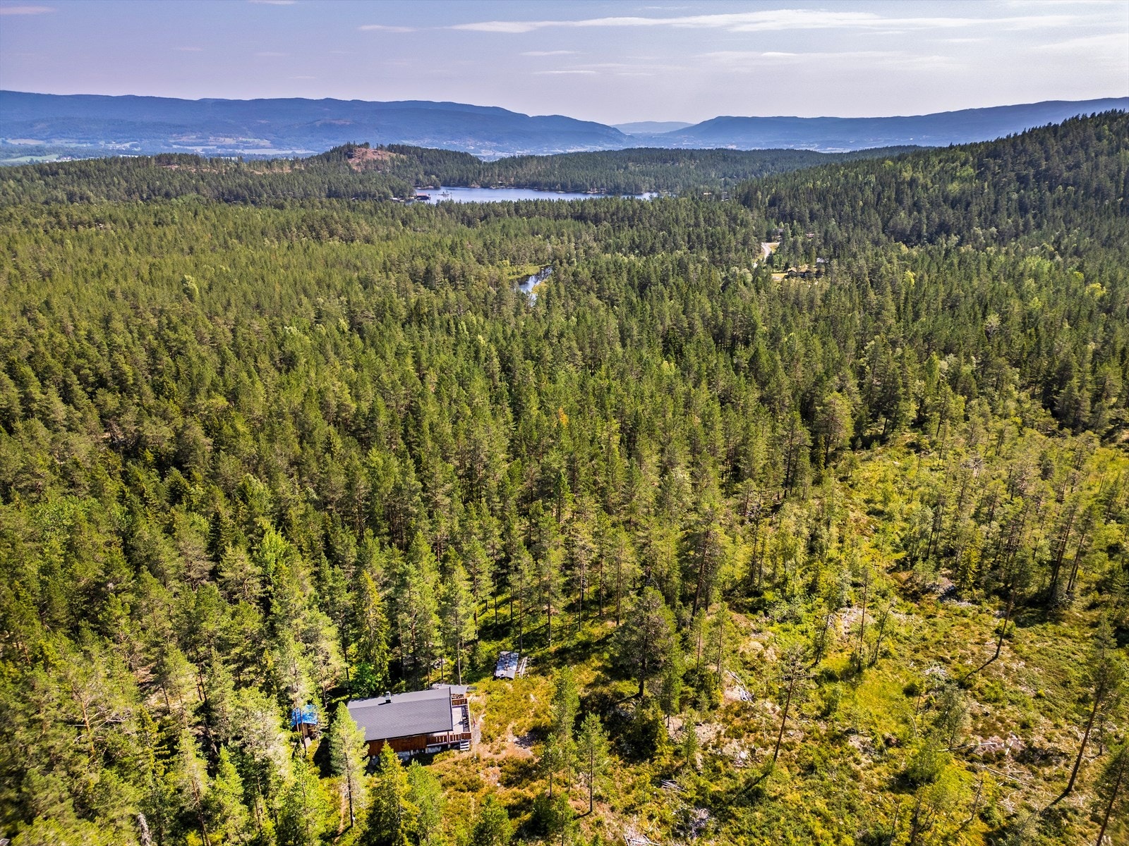 Velkommen til en hyggelig visning! Galleribilde