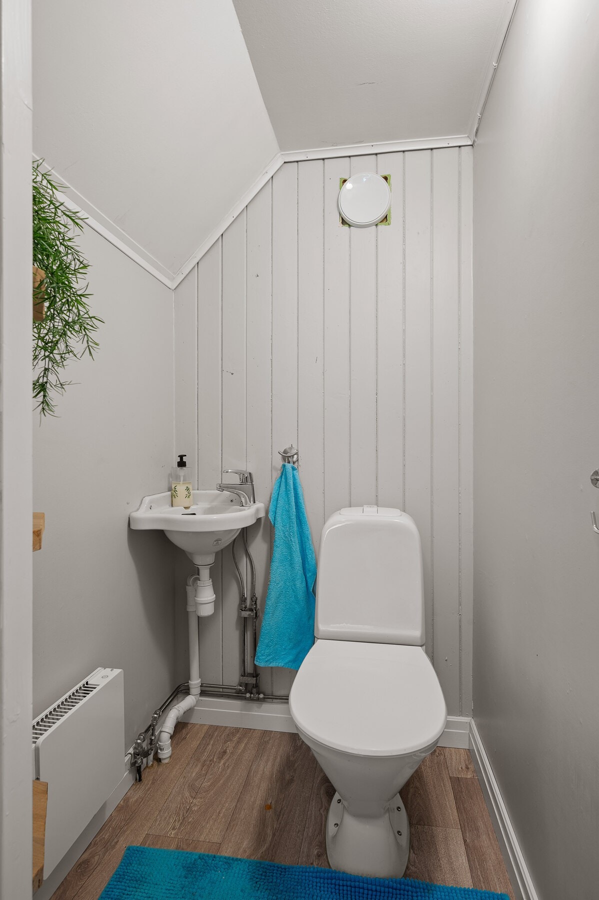 I tillegg er det et separat og praktisk toalettrom. Galleribilde