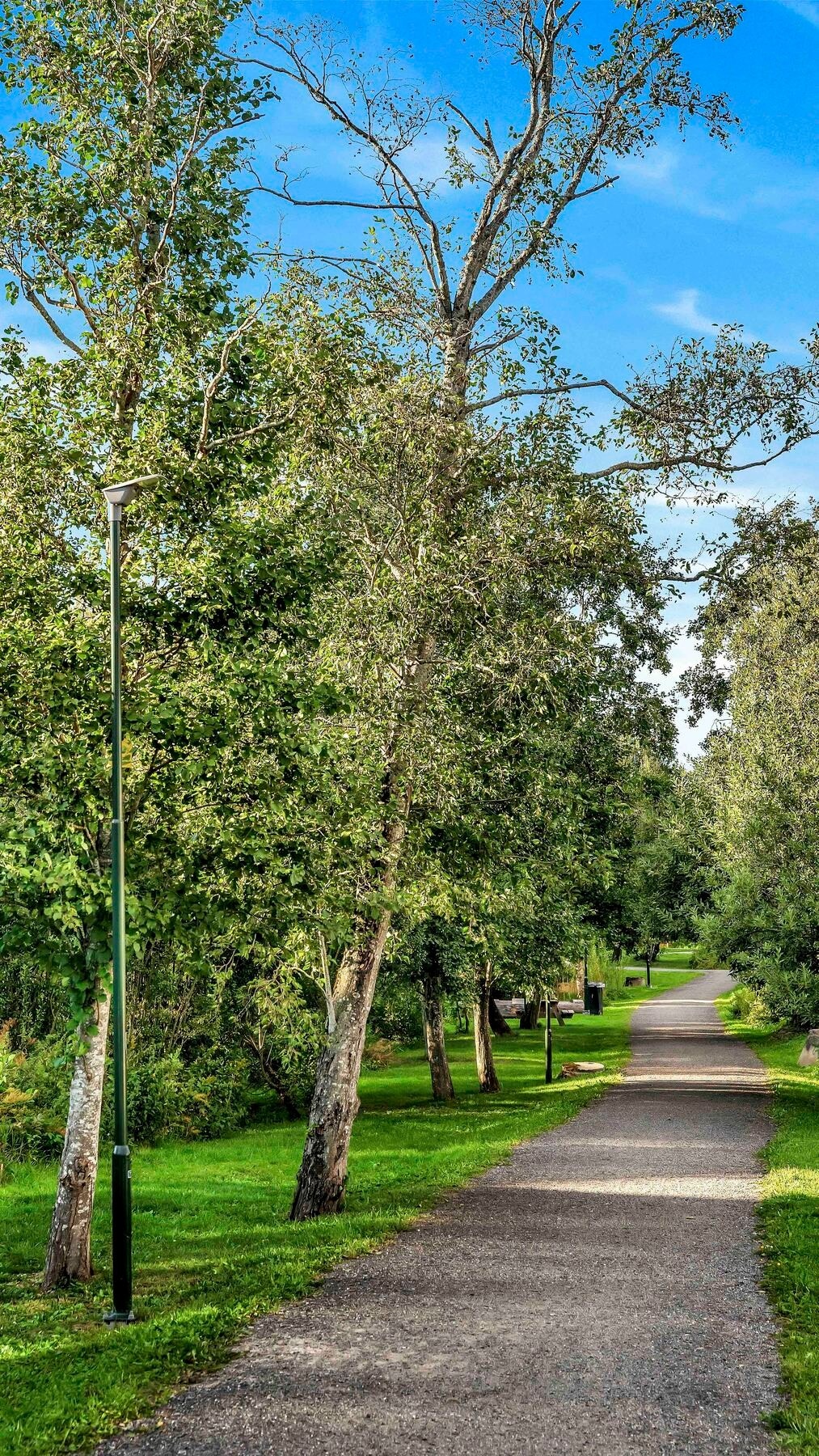 Det er fine turmuligheter langs gangveien ved Hyllibekken like nedenfor leiligheten. Denne fører blant annet opp til togstasjonen og den koselige Stasjonskafeen. Galleribilde