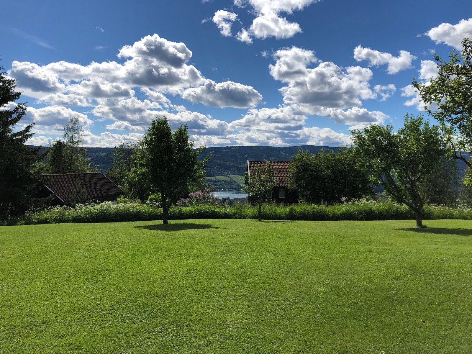 IMG_1912 Galleribilde