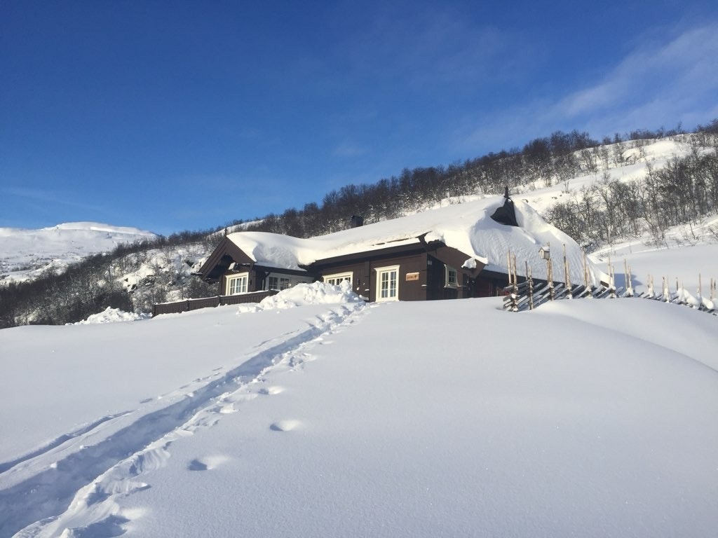Her får du oppleve ekte hytteliv omgitt av spektakulær natur. Området er et eldorado for friluftsinteresserte med turmuligheter hele året, enten du vil på fottur, sykkeltur, jakt, skitur eller bare nyte fjellets stillhet. Galleribilde