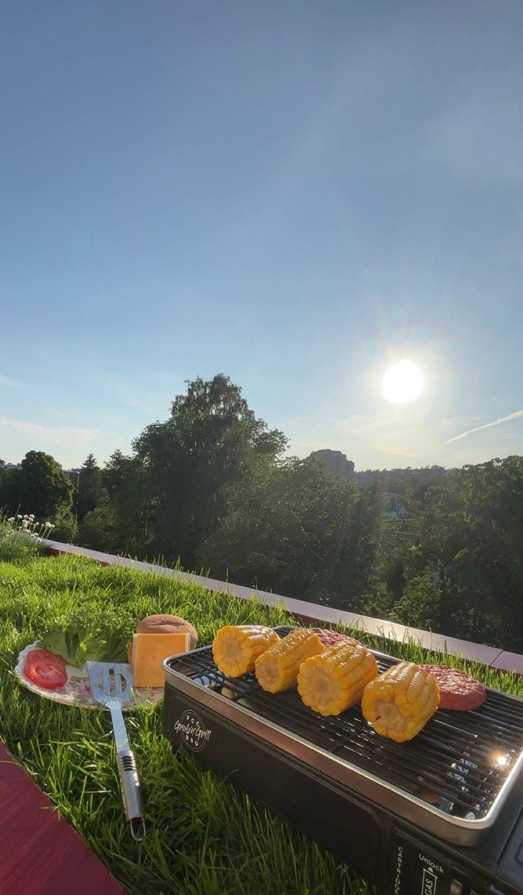 Selgers eget sommerbilde. Galleribilde