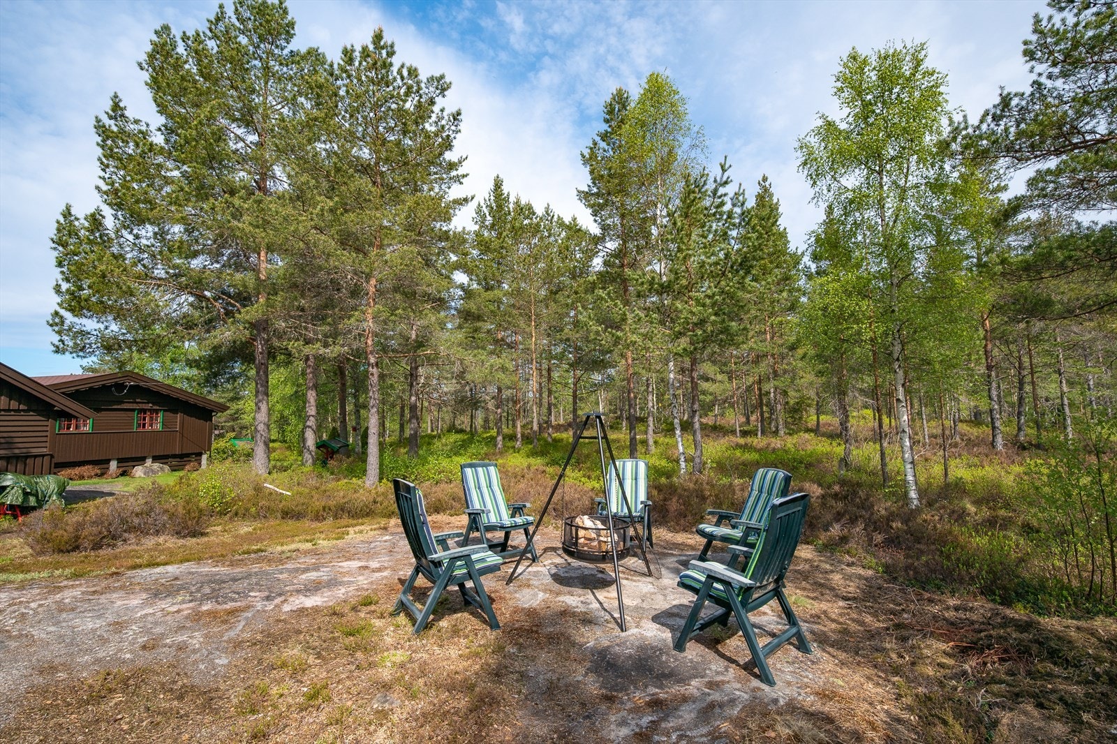 Hyggelig grillplass omkranset av fin natur Galleribilde