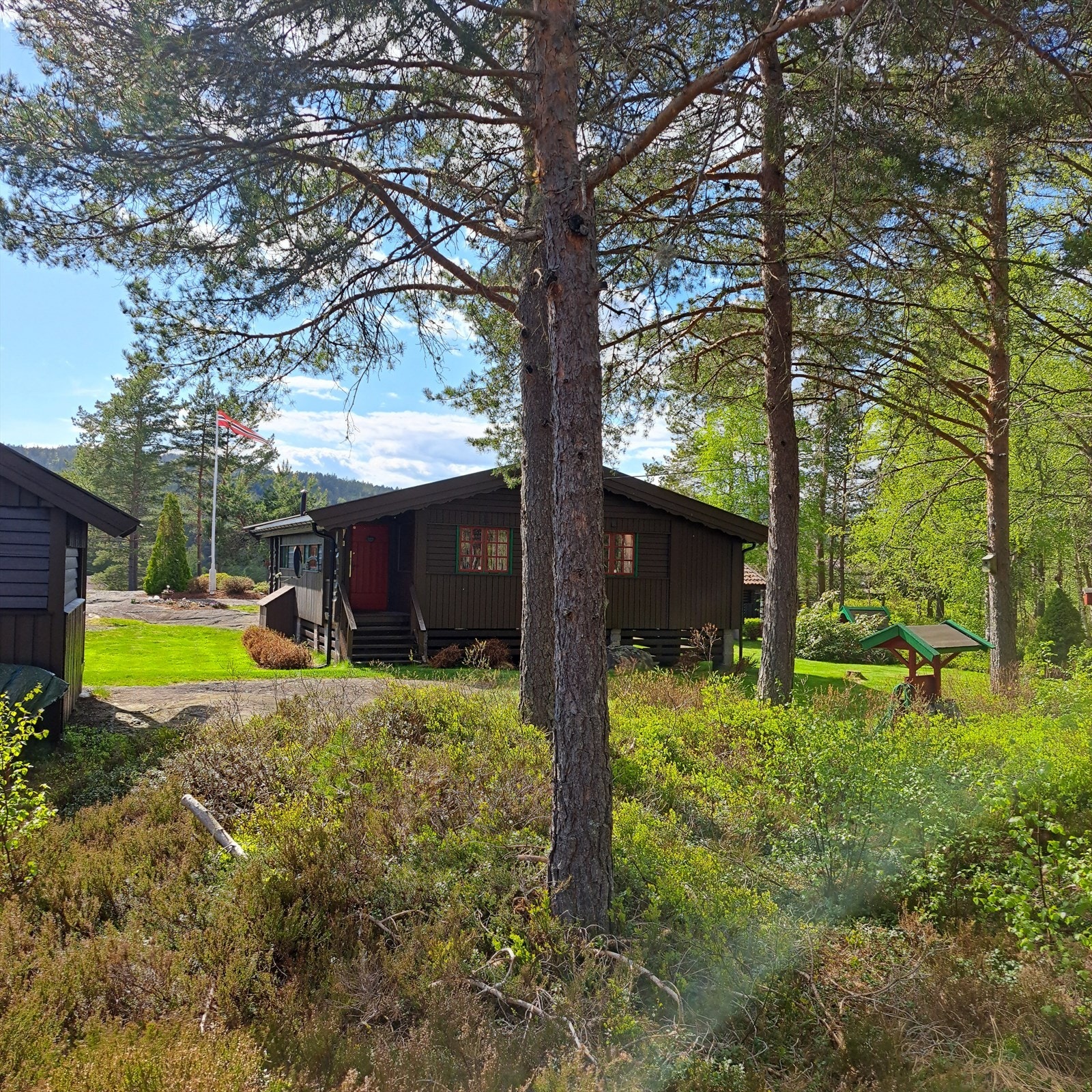 Tomten er omkranset av naturtomt med bærbusker og lyng Galleribilde