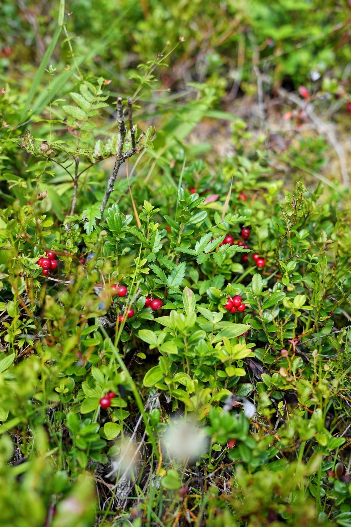 Velkommen til visning, husk å melde deg på. Galleribilde