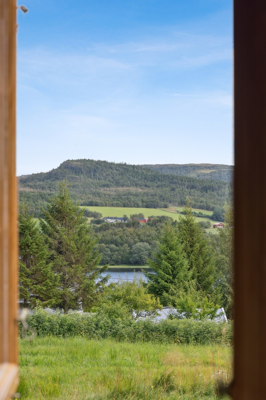 Utsikt fra stue. Galleribilde
