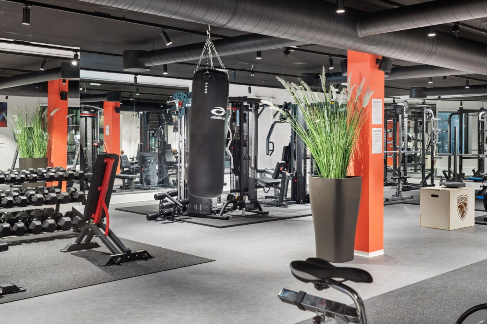 Her finner du et treningsrom på ca. 250 kvm, som har det meste av utstyr. Her er det også airhockey og bordtennis. Galleribilde