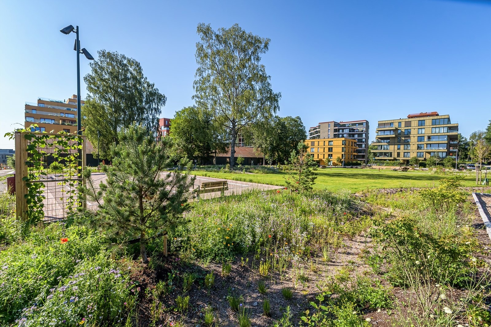 Magasinparken |Opparbeidede utomhusarealer med gangvei, utegym og sykkelparkering Galleribilde
