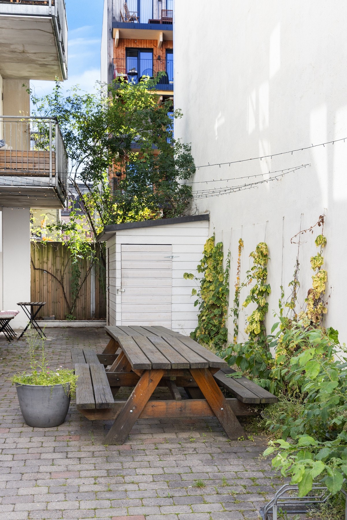 Borettslaget har en hyggelig bakgård med sittegrupper og sykkelparkering. Galleribilde