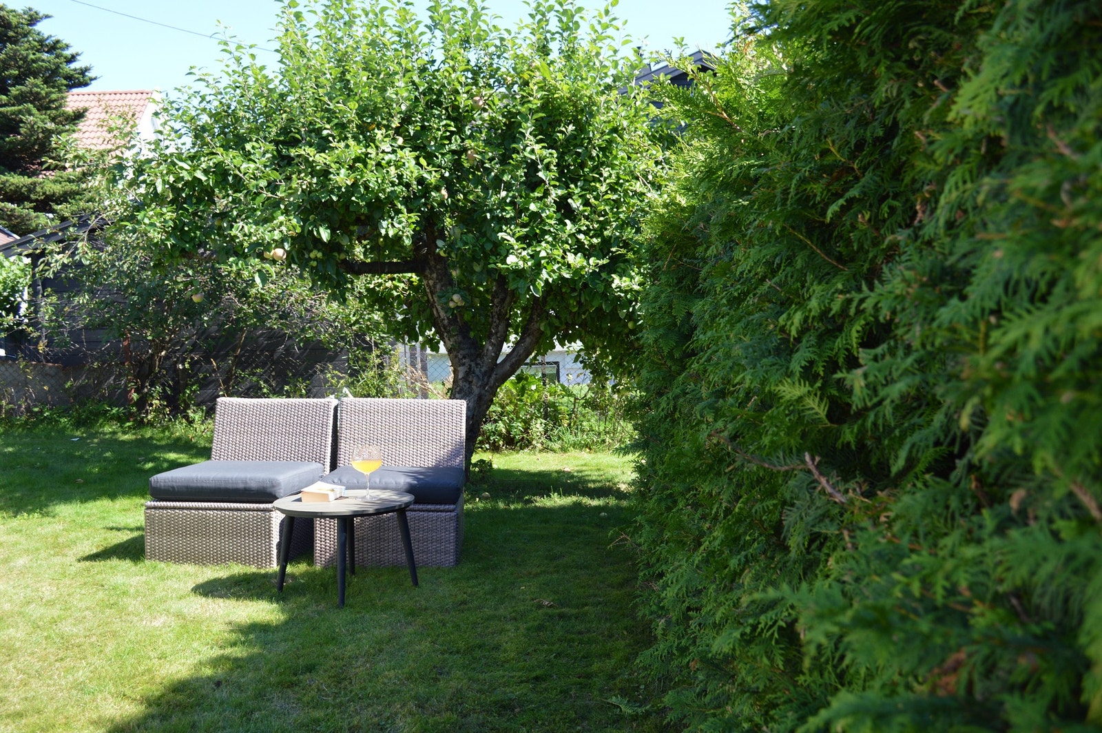 Hva er en hage uten et epletre? Galleribilde