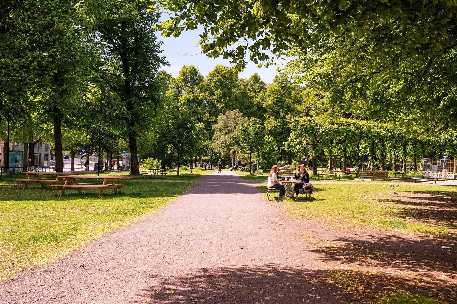 Nærområde Galleribilde