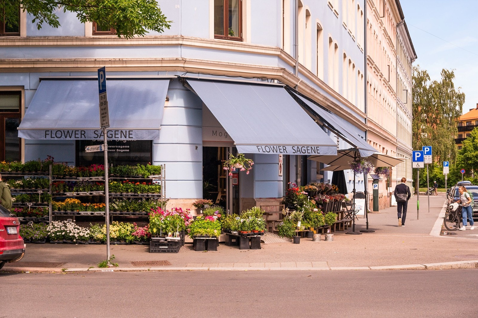 Nærområde Galleribilde