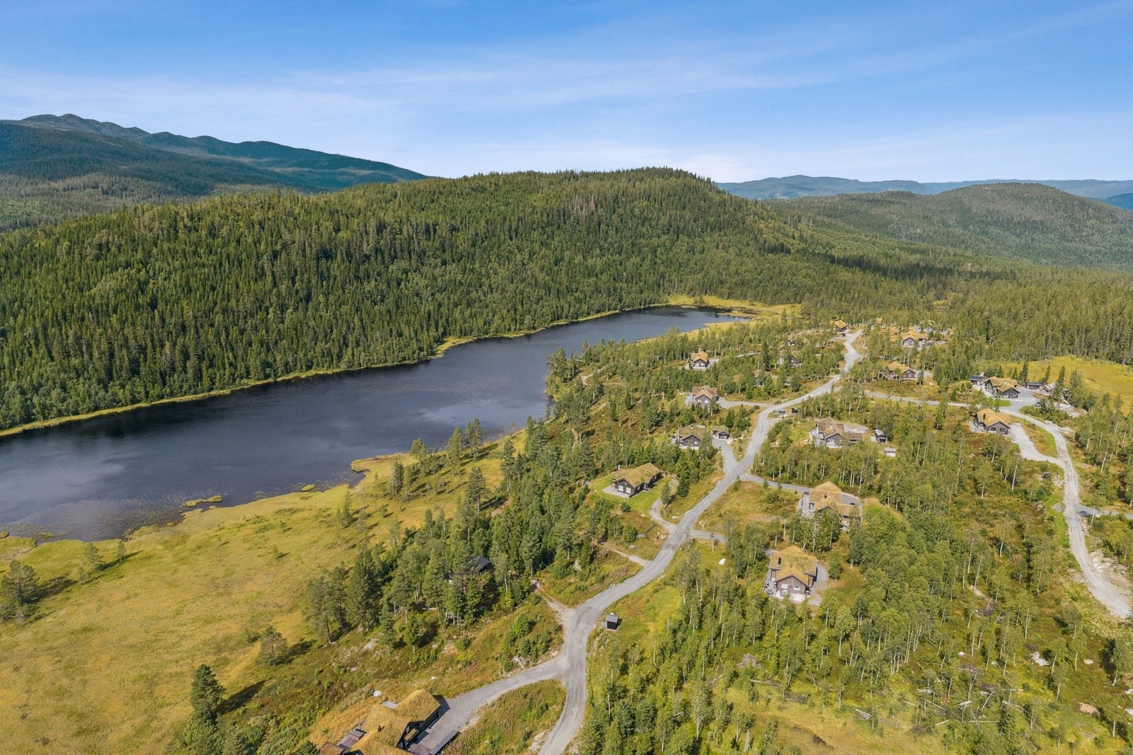 Sommer idyll. Galleribilde