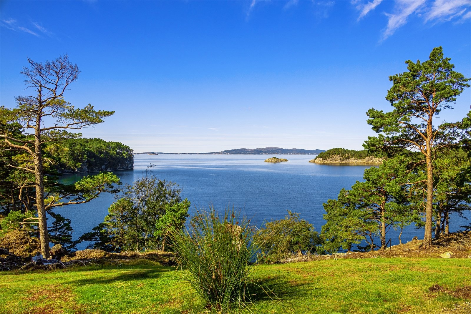 Fantastiske omgivelser! Galleribilde