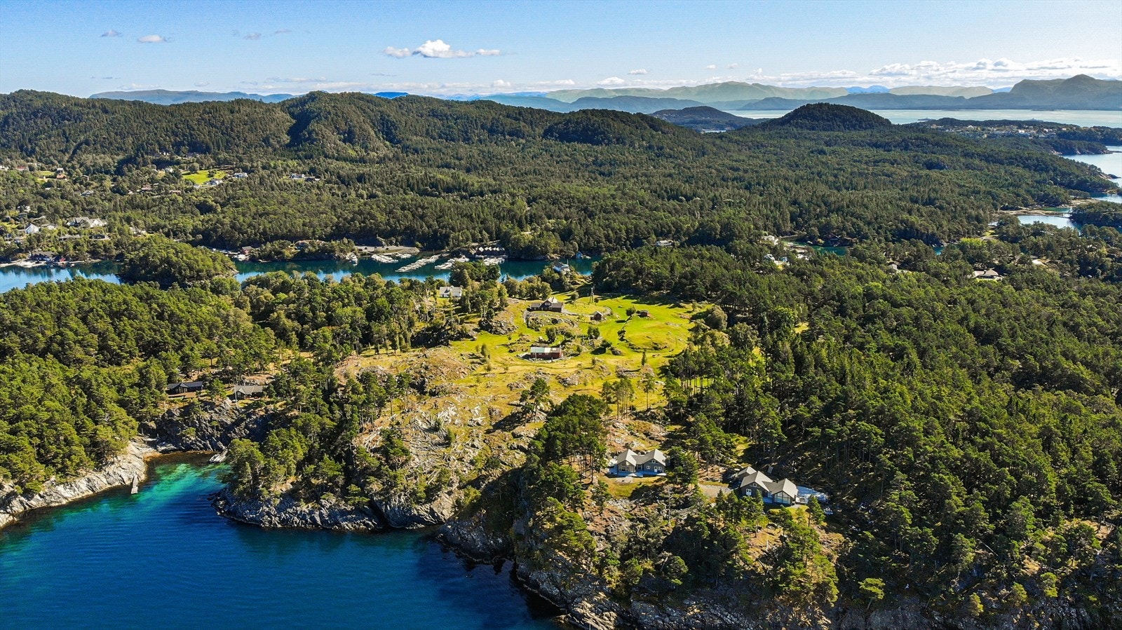 Det er frittgående sauer på øyen som tar turen forbi hytten med jevne mellomrom Galleribilde