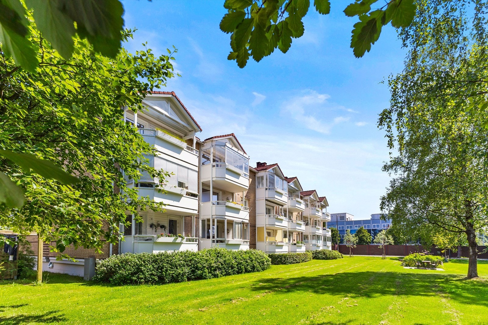 Velkommen til en hyggelig visning! Galleribilde