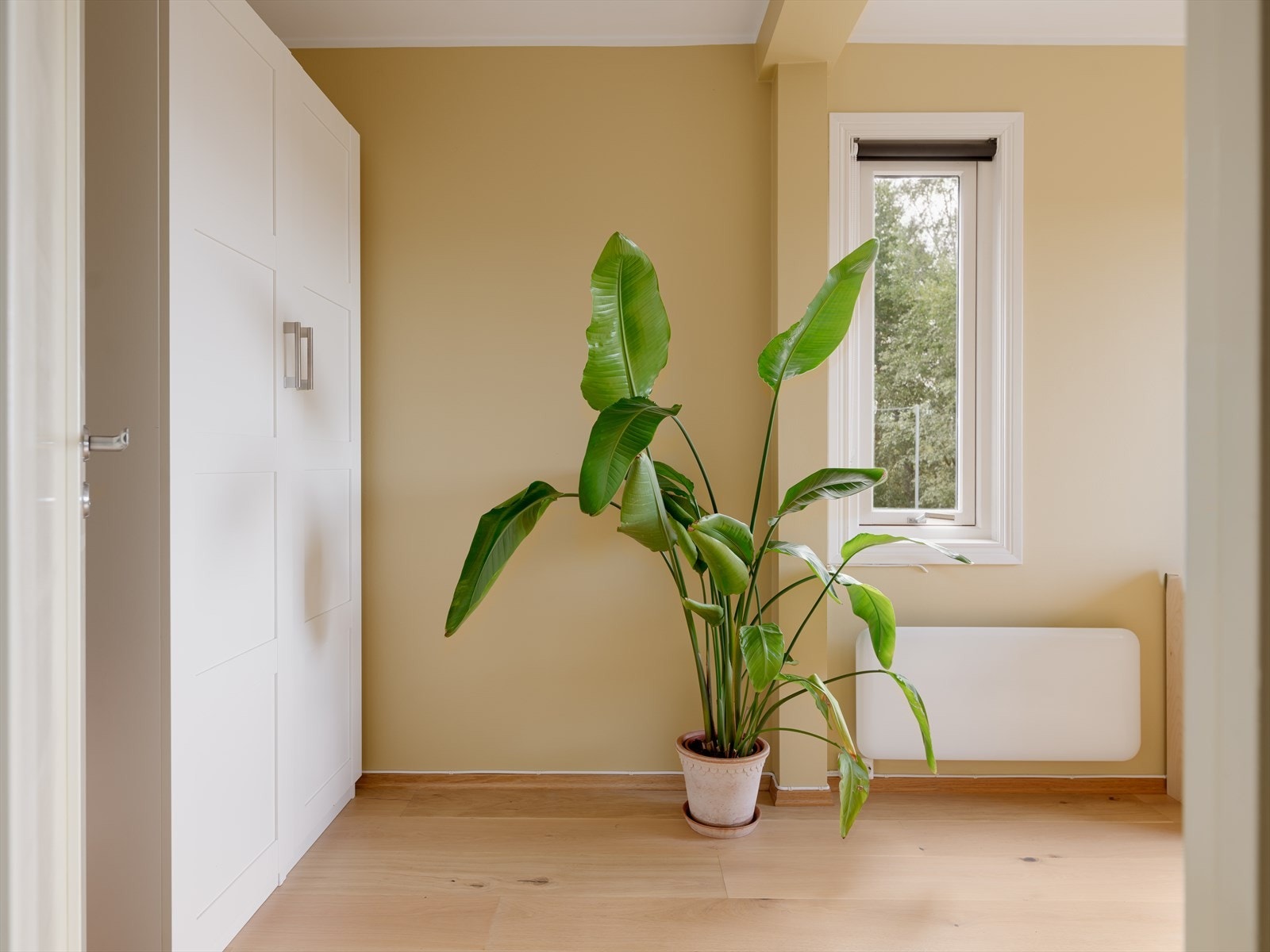 Rommet har også garderobe. Galleribilde