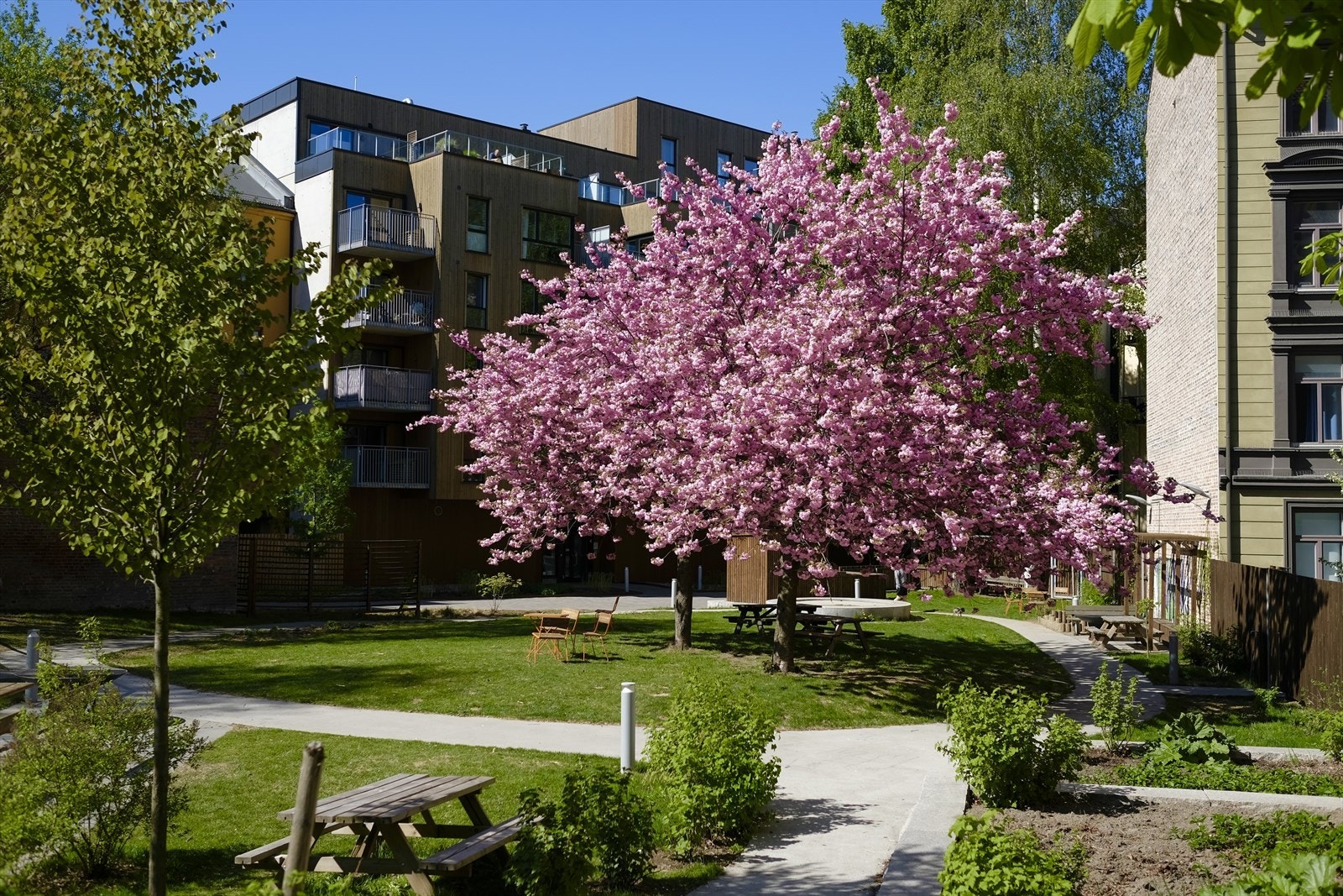 Bakgården oppleves stor og frodig. Svært praktisk med barnehage på andre siden av bakgården (Nonneseter Idrettsbarnehage). Galleribilde