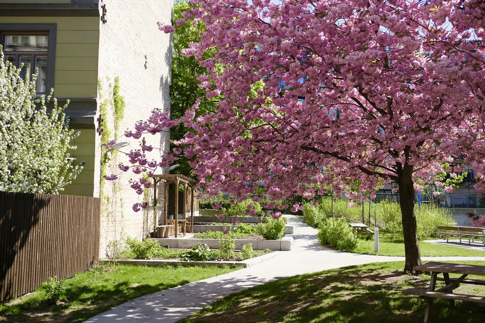 Bakgården er møblert med sittegrupper og er lekkert opparbeidet og beplantet. Galleribilde