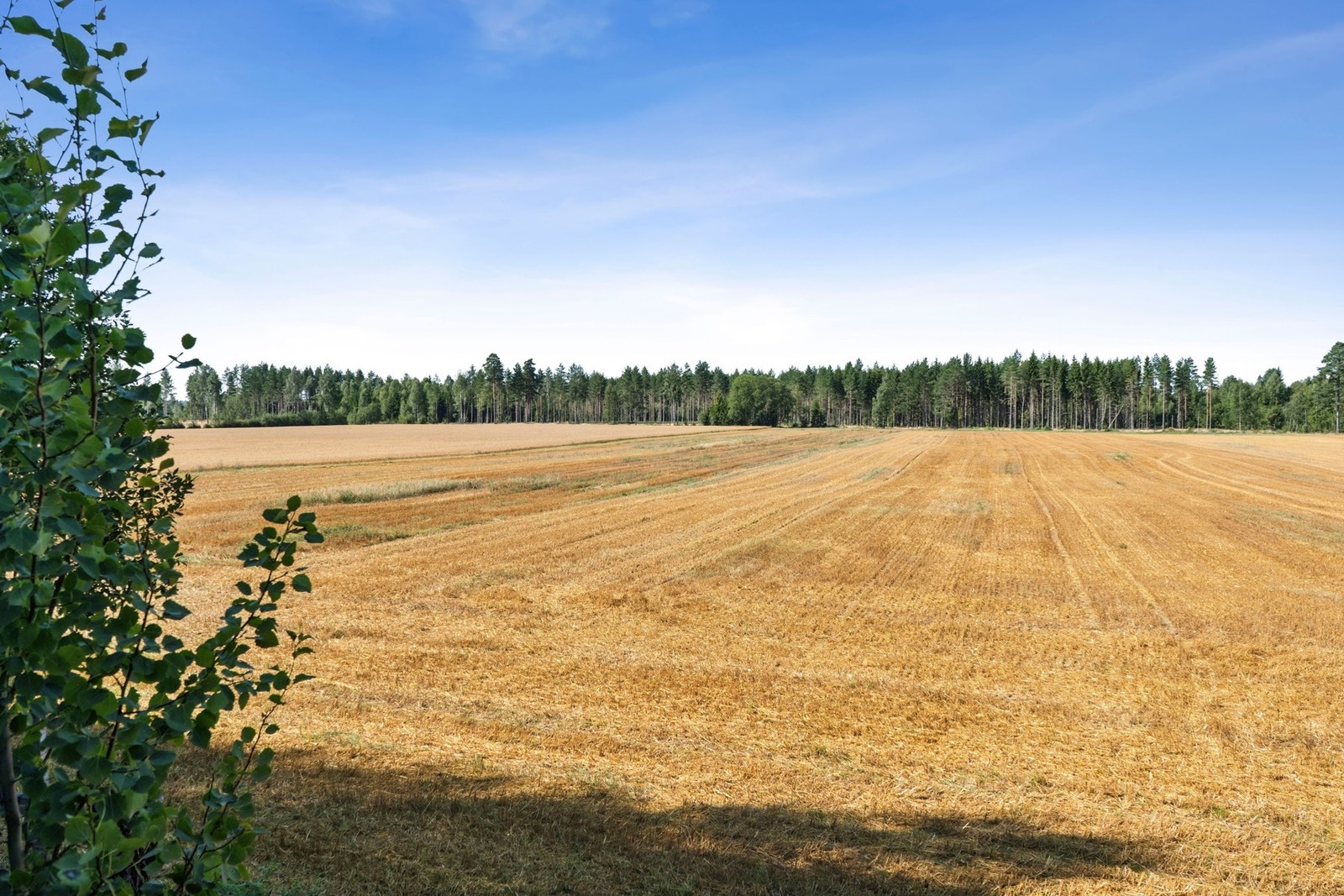 Utsikt fra loft Galleribilde