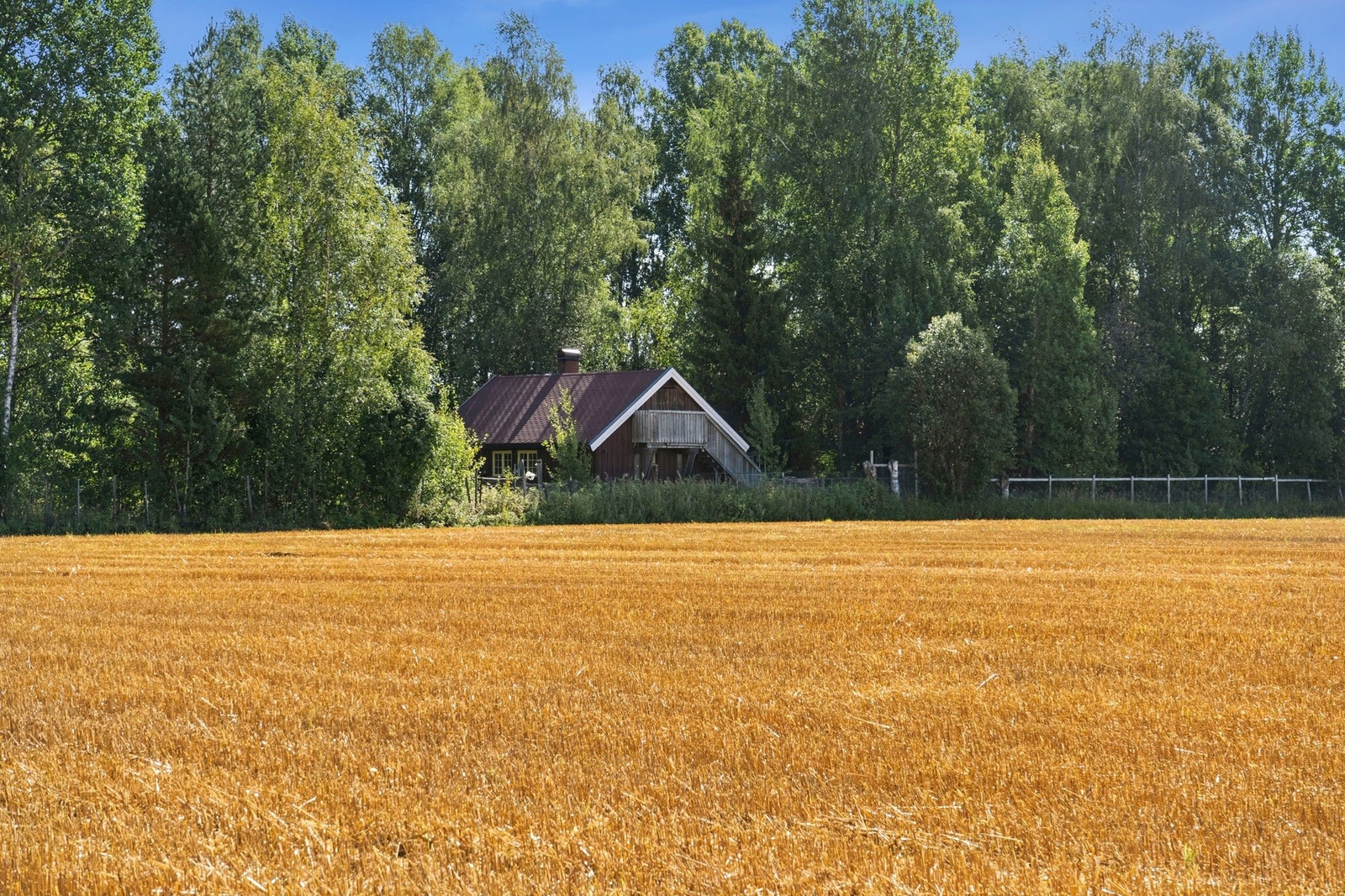 Velkommen til visning! Galleribilde