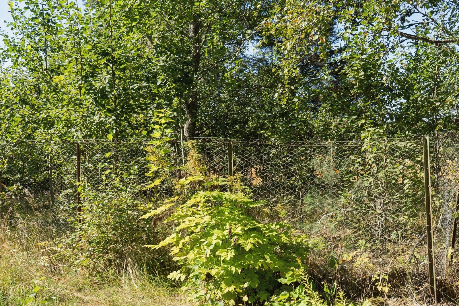 Ute bak hus Galleribilde