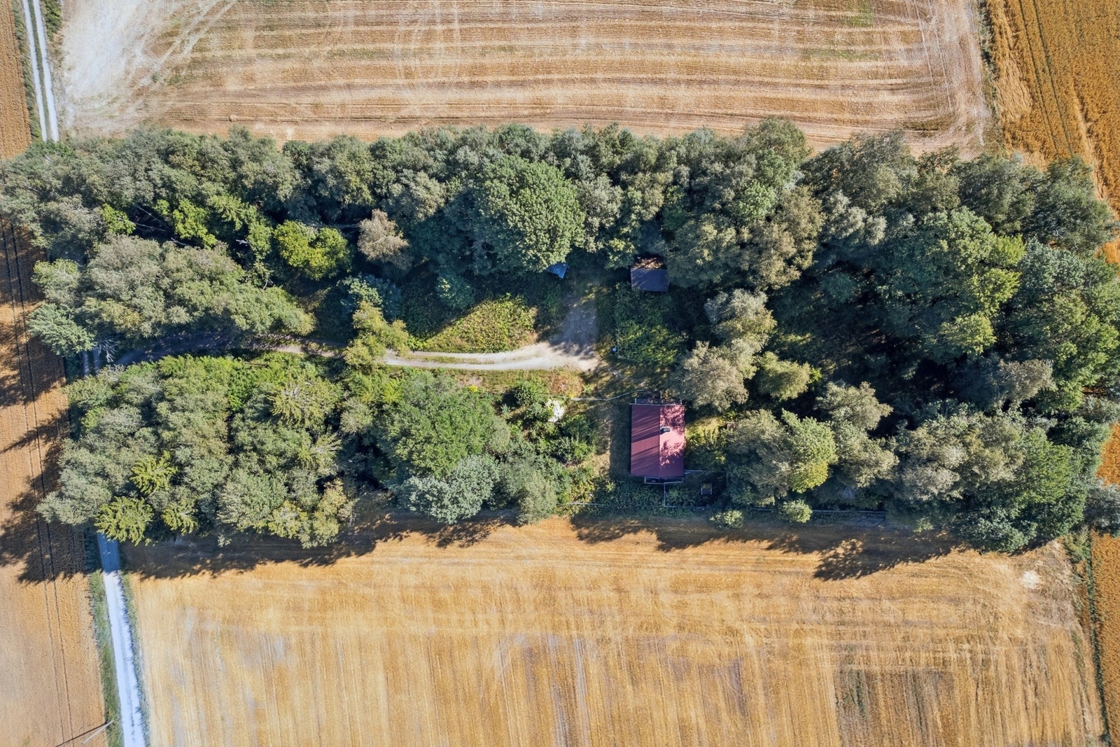 EIE Jessheim v/Aleen Bajwa har gleden av å presentere Brennigrinda 29! Galleribilde