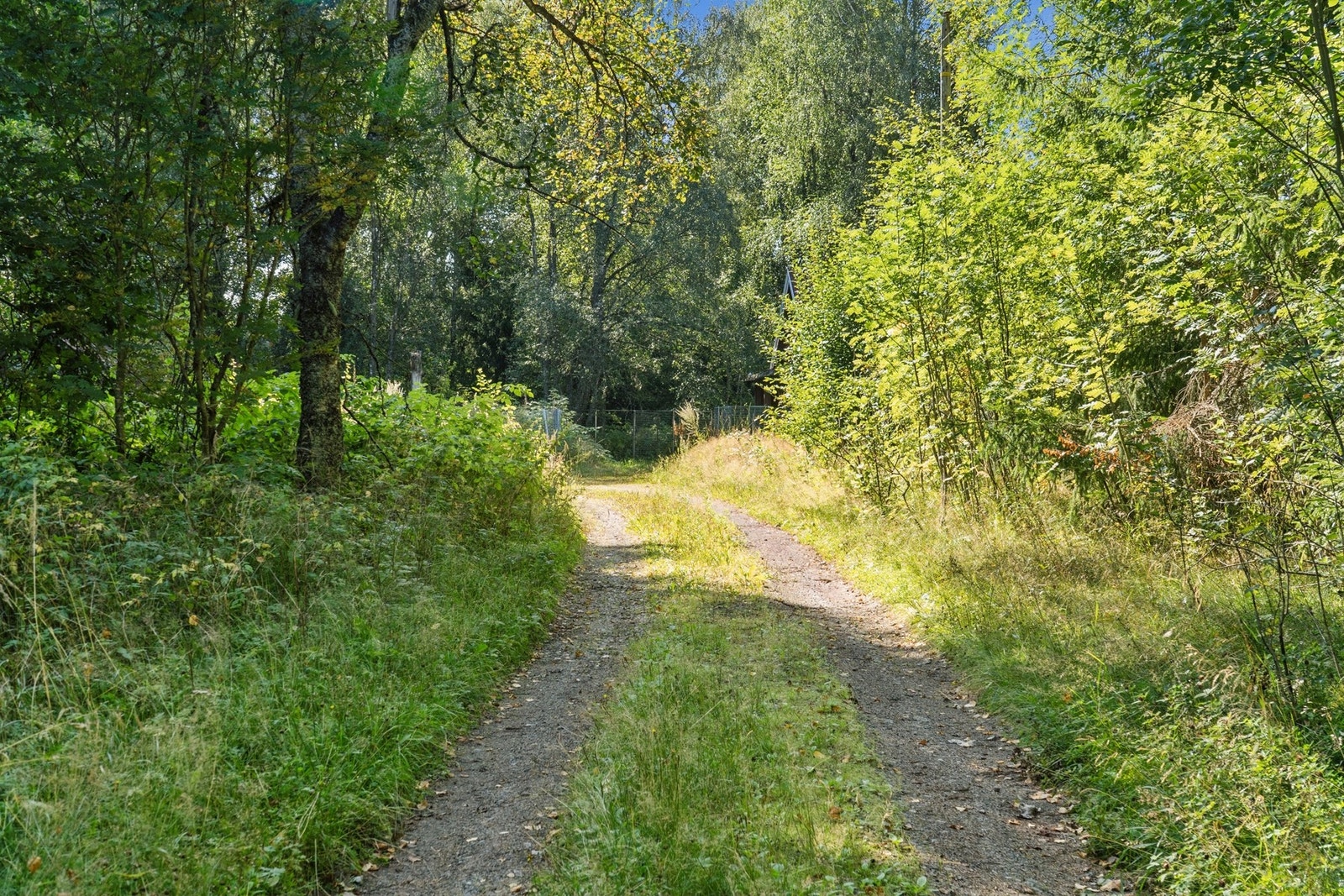 Vei til huset. Galleribilde