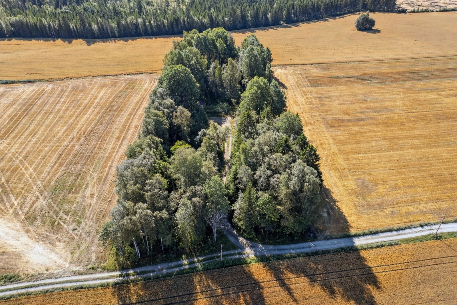 Det er kort vei til idrettshaller, treningssentre som SATS og Spenst Jessheim, samt gode tilbud innen fotball, friidrett og andre aktiviteter. Galleribilde
