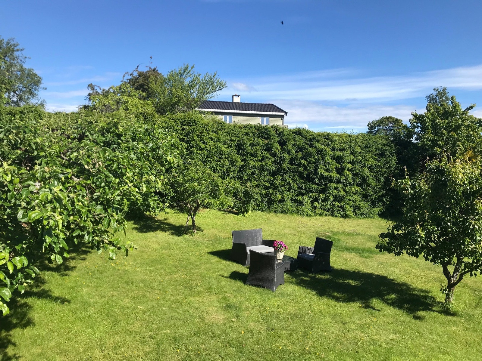 Pent opparbeidet hage med gressplen, hekker, bed, frukttrær og prydbusker. Galleribilde