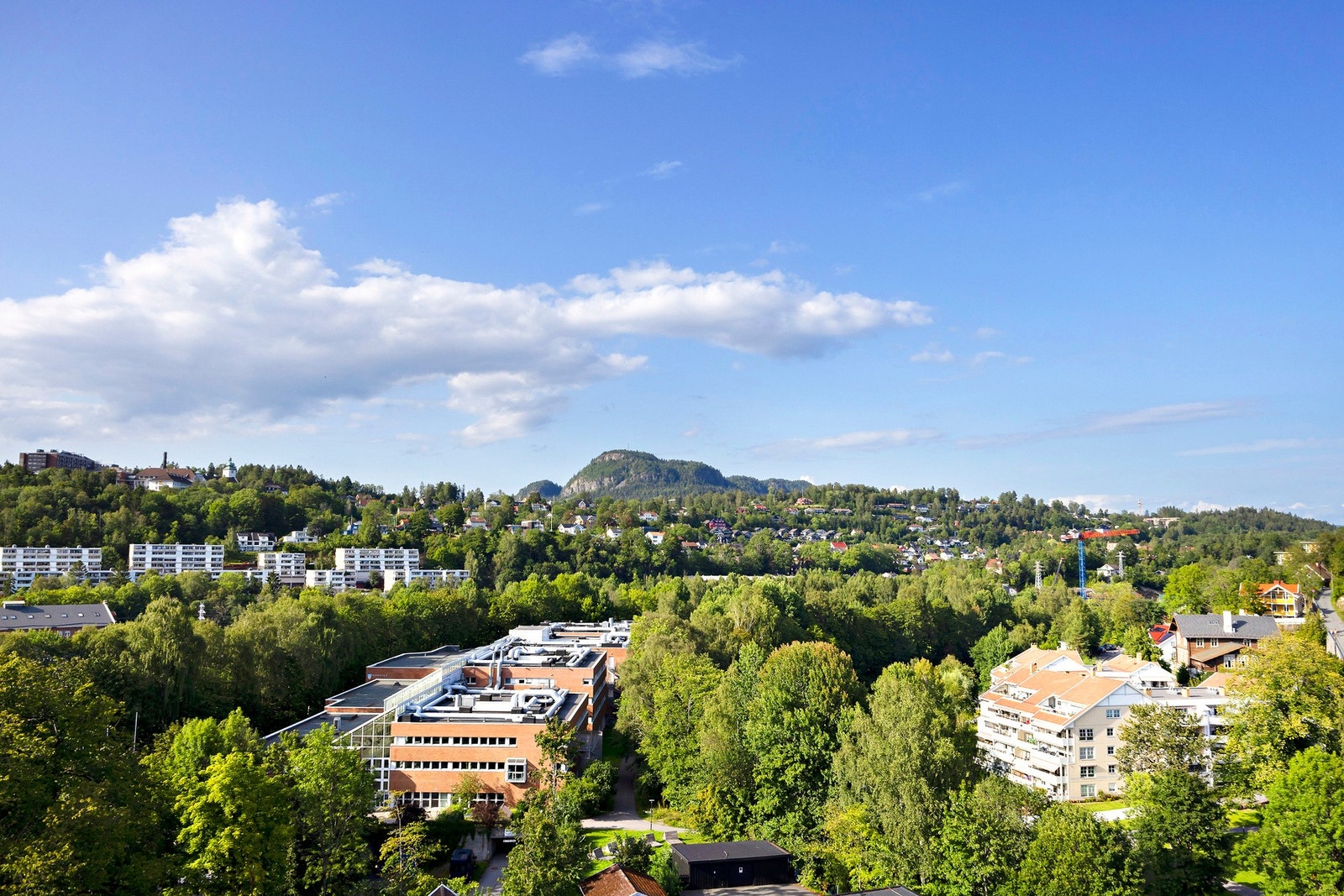 Utsikt mot Kolsåstoppen Galleribilde