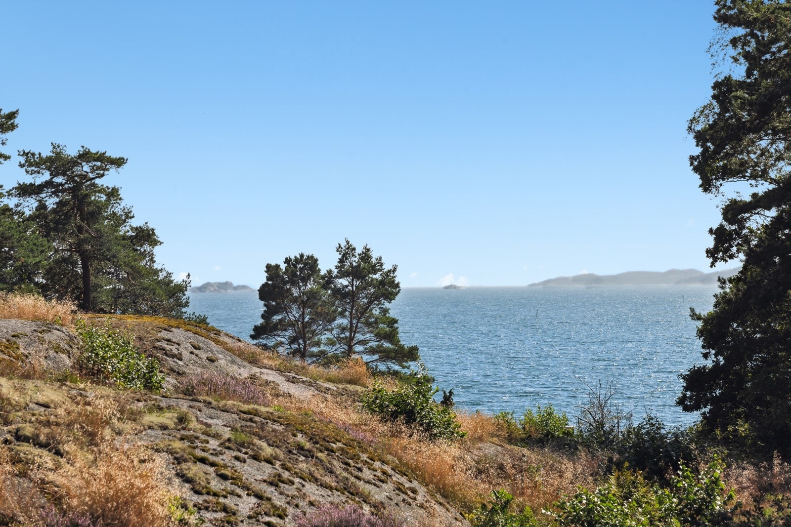 Vestfold flotteste skjærgård ligger rett utenfor eget sommerparadis. Galleribilde