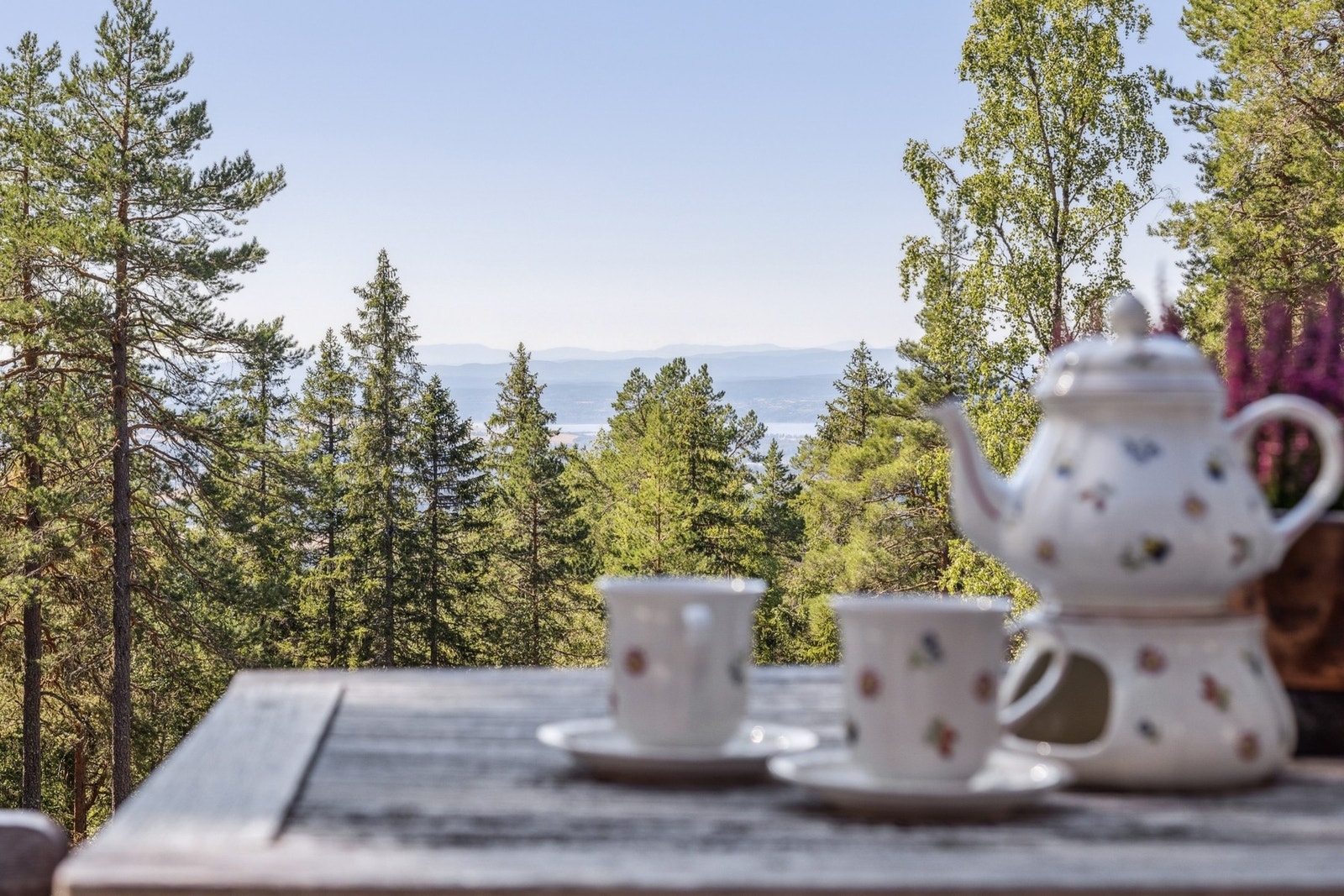 Fantastisk utsikt! Galleribilde