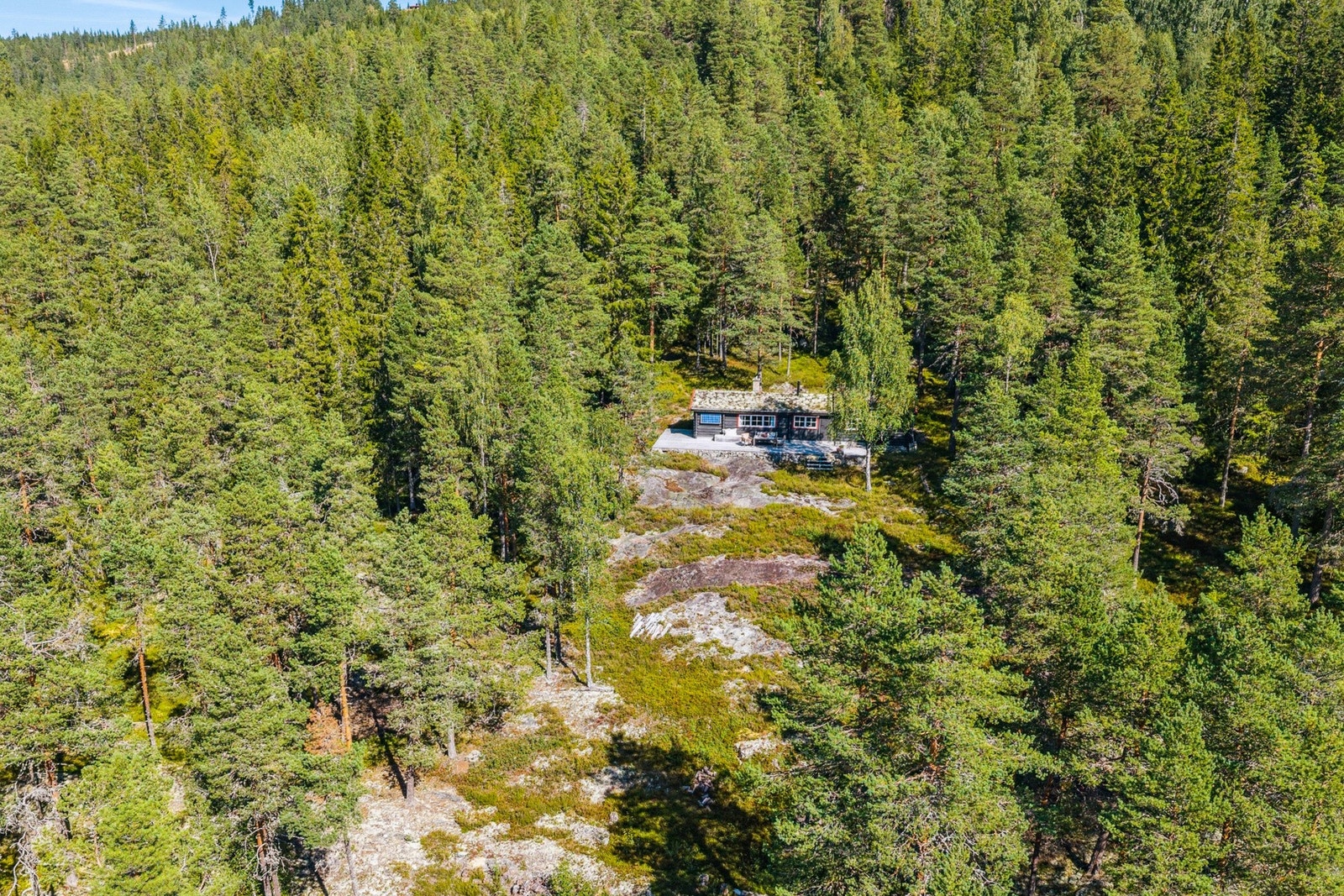 Dronebilde som fremhever hyttens beliggenhet i skoglandskapet. Galleribilde