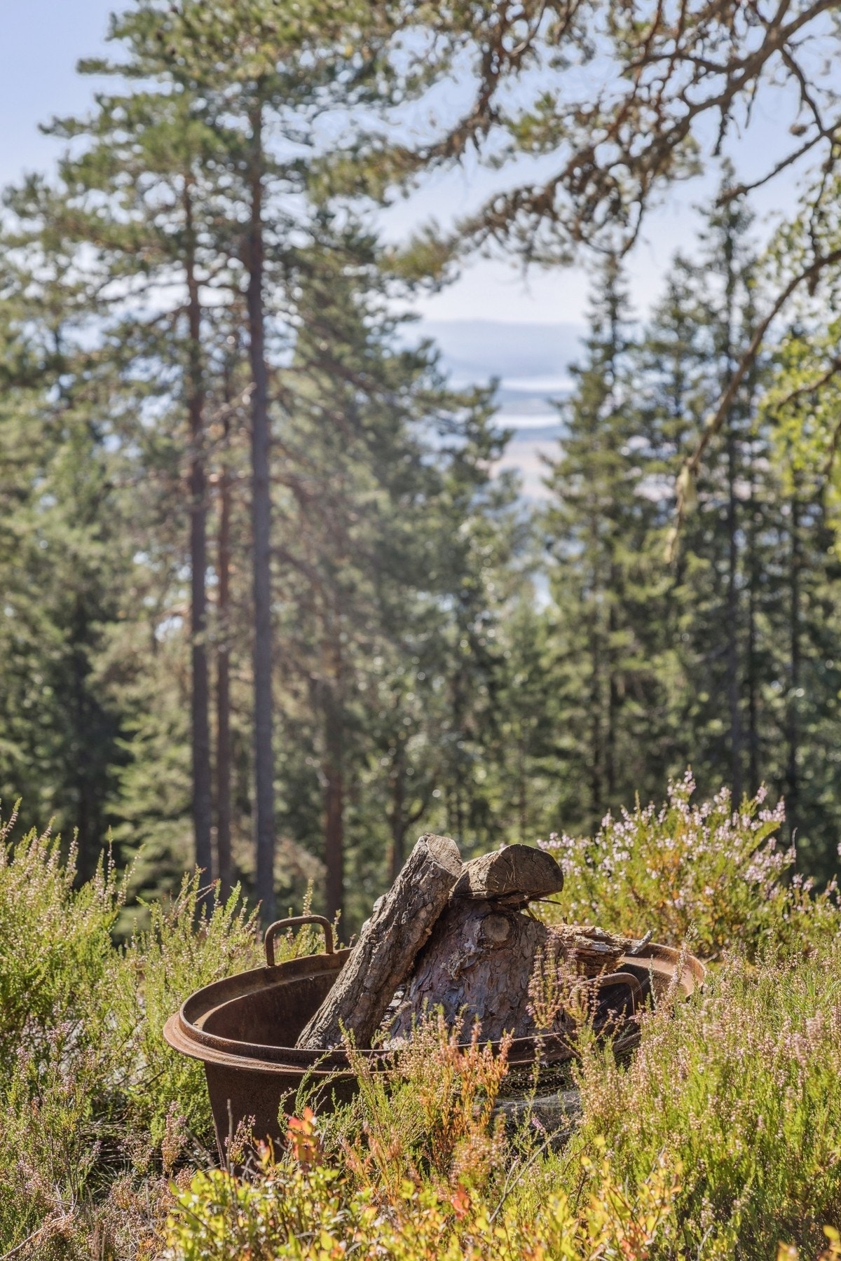 Kunne du tenkt deg denne herlige hytten? Galleribilde