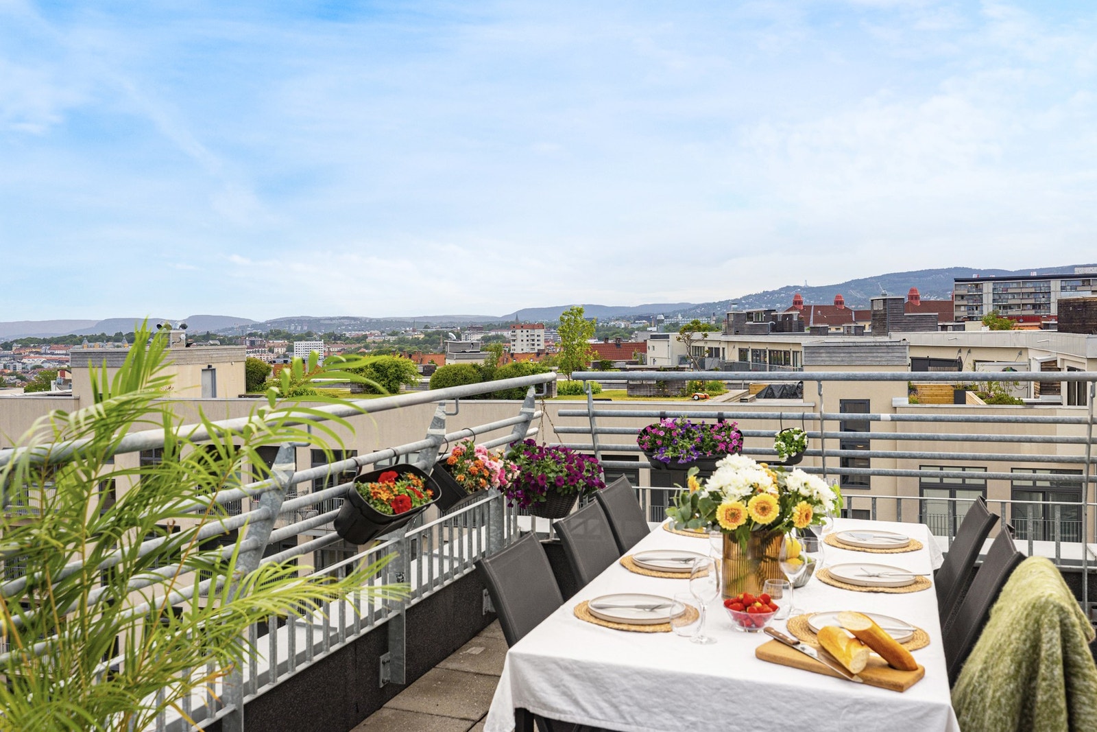 Og flere nydelige felles takterrasser med sol hele dagen. Galleribilde