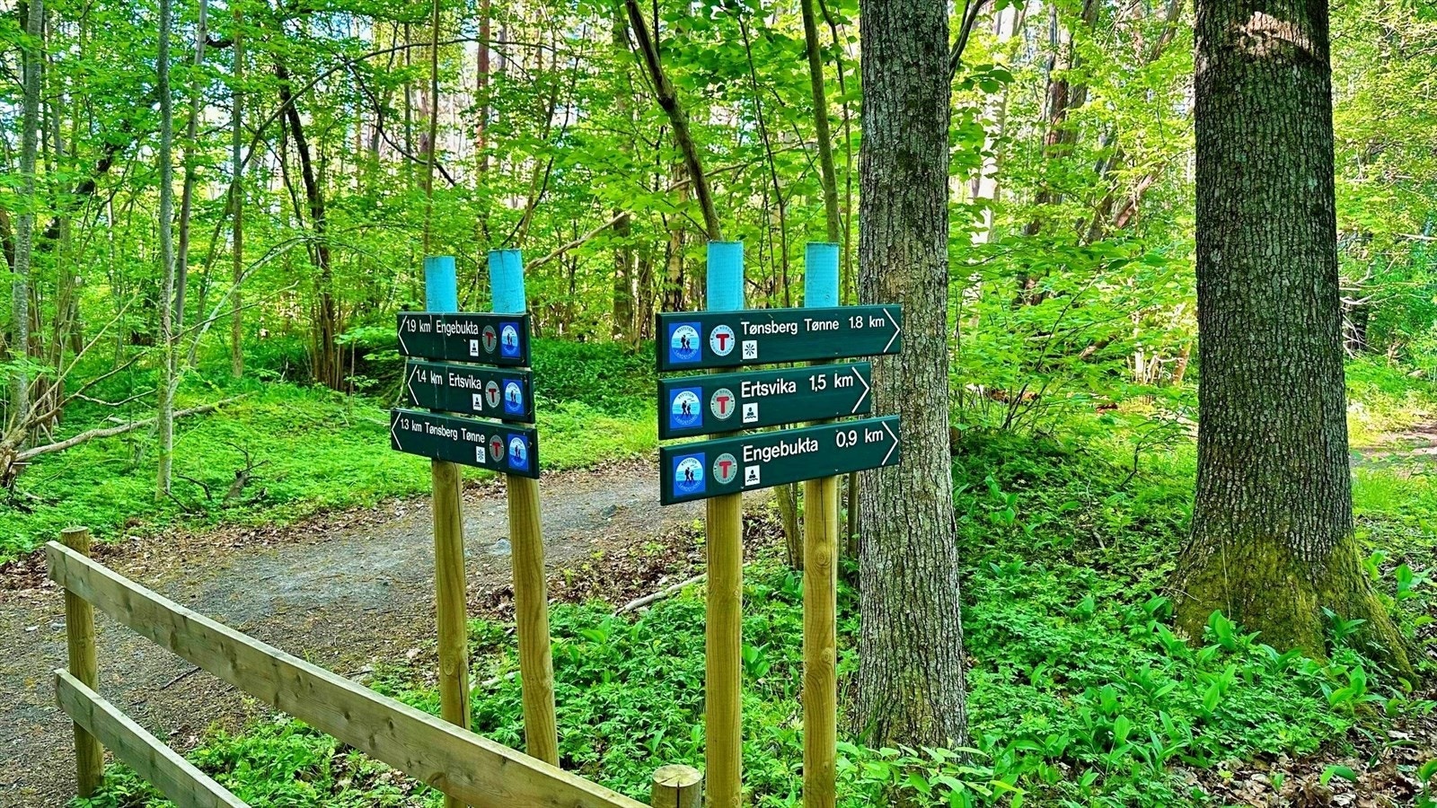 Yxney er kåret til Sandefjords beste turområde, og stinettet her er godt merket. Med kort vei til både Tønsberg Tønne, Ertsvika og Engebukta, er dette et paradis for turgåere i alle aldre Galleribilde