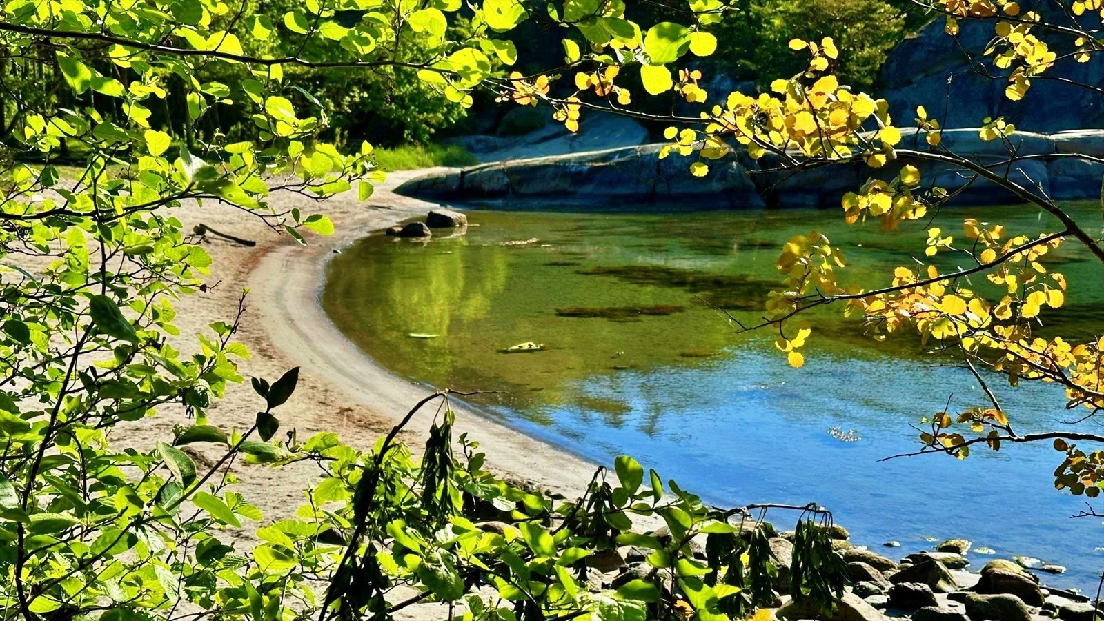 Naturskjønn og fredelig bukt skjermet av skog og fjell - perfekt for et stille morgenbad eller en stille stund i ett med naturen. Galleribilde