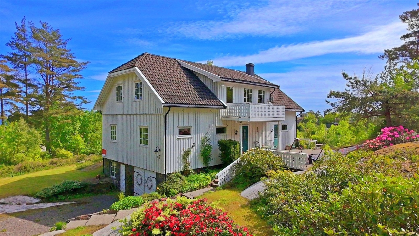 Rik fauna med flotte blomster som pynter området Galleribilde
