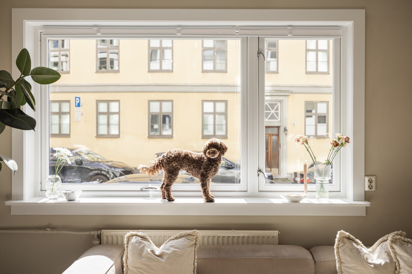 Store vinduer med dype karmer, nymalte i 2025. Galleribilde