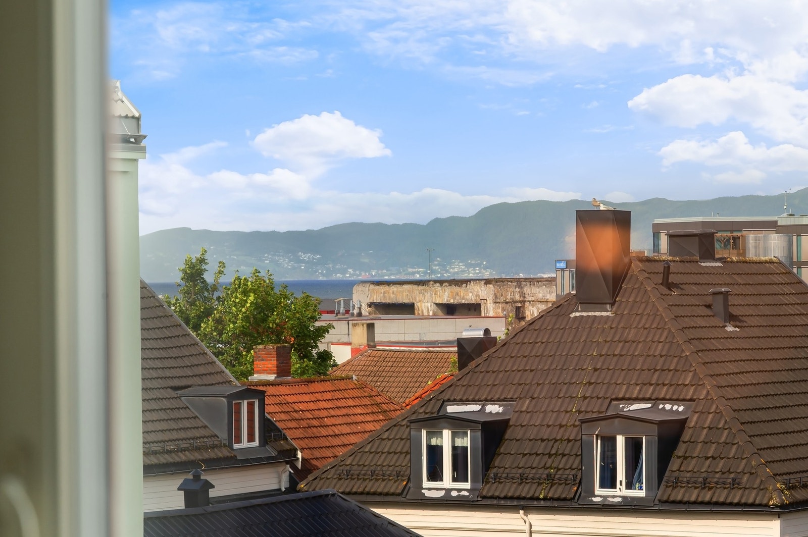 Skimt av fjordutsikt. Galleribilde