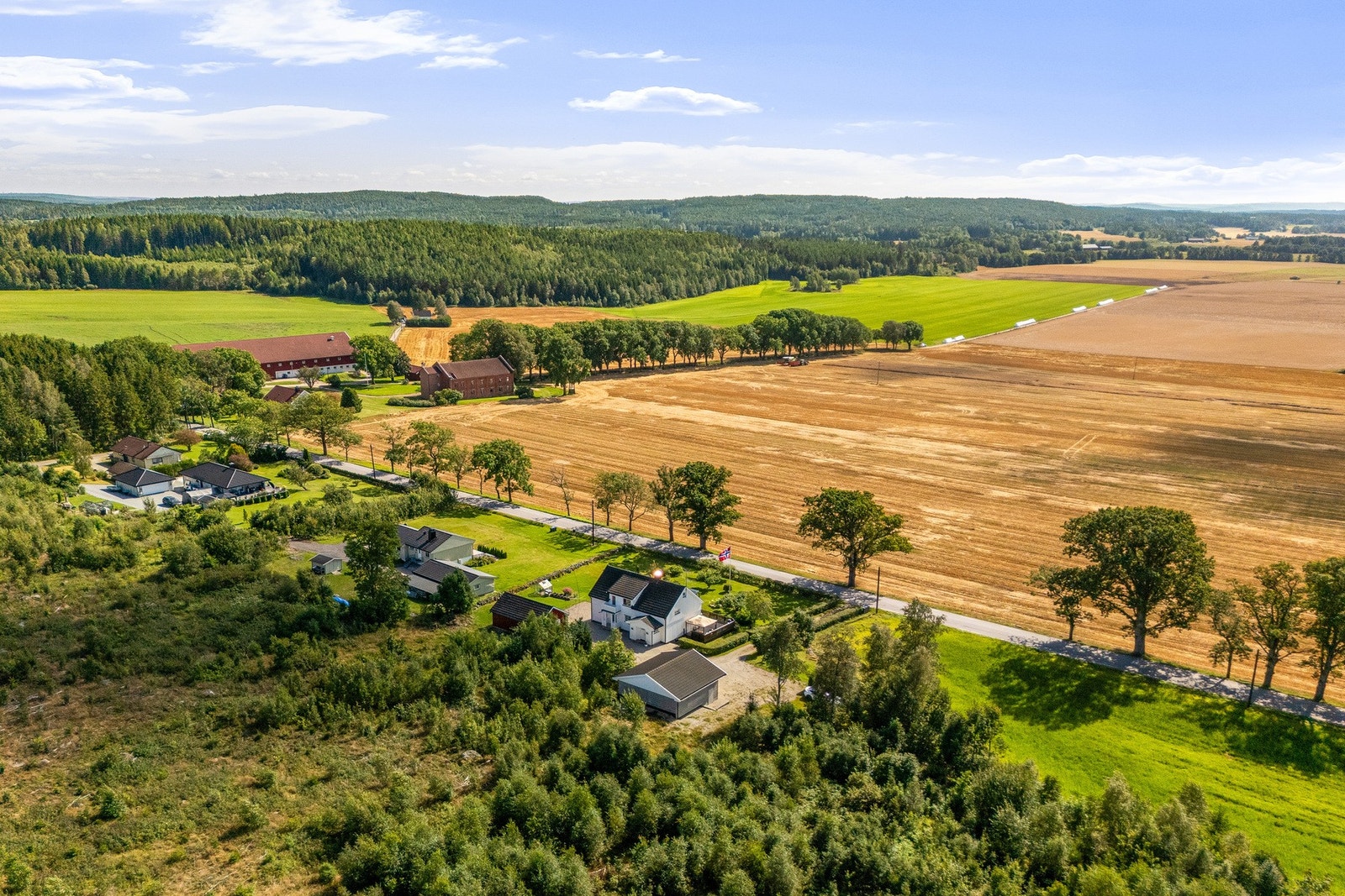 Velkommen til visning! Galleribilde