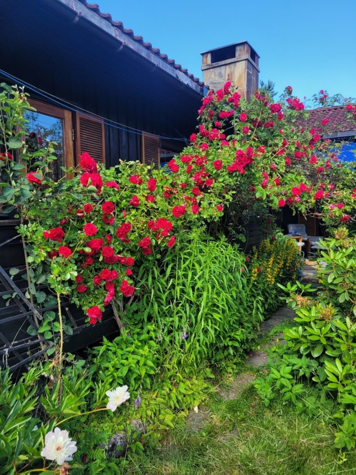 Selgers bilde. Galleribilde