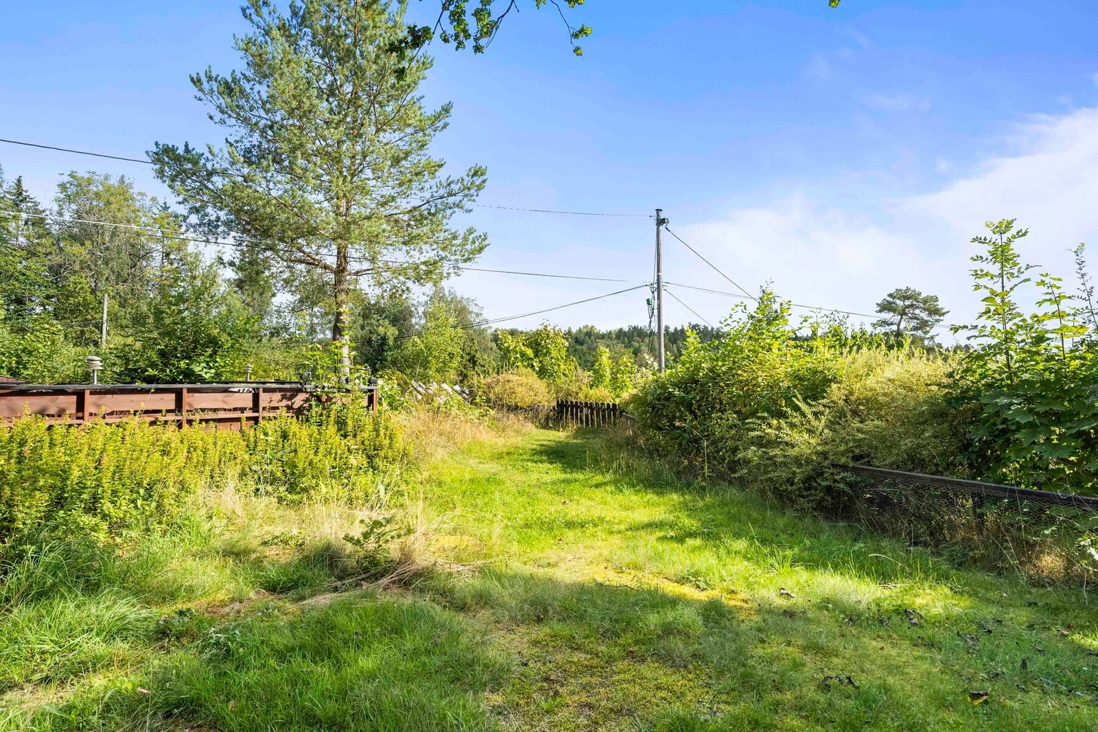 Rikelig med boltringsplass for både store og små. Galleribilde