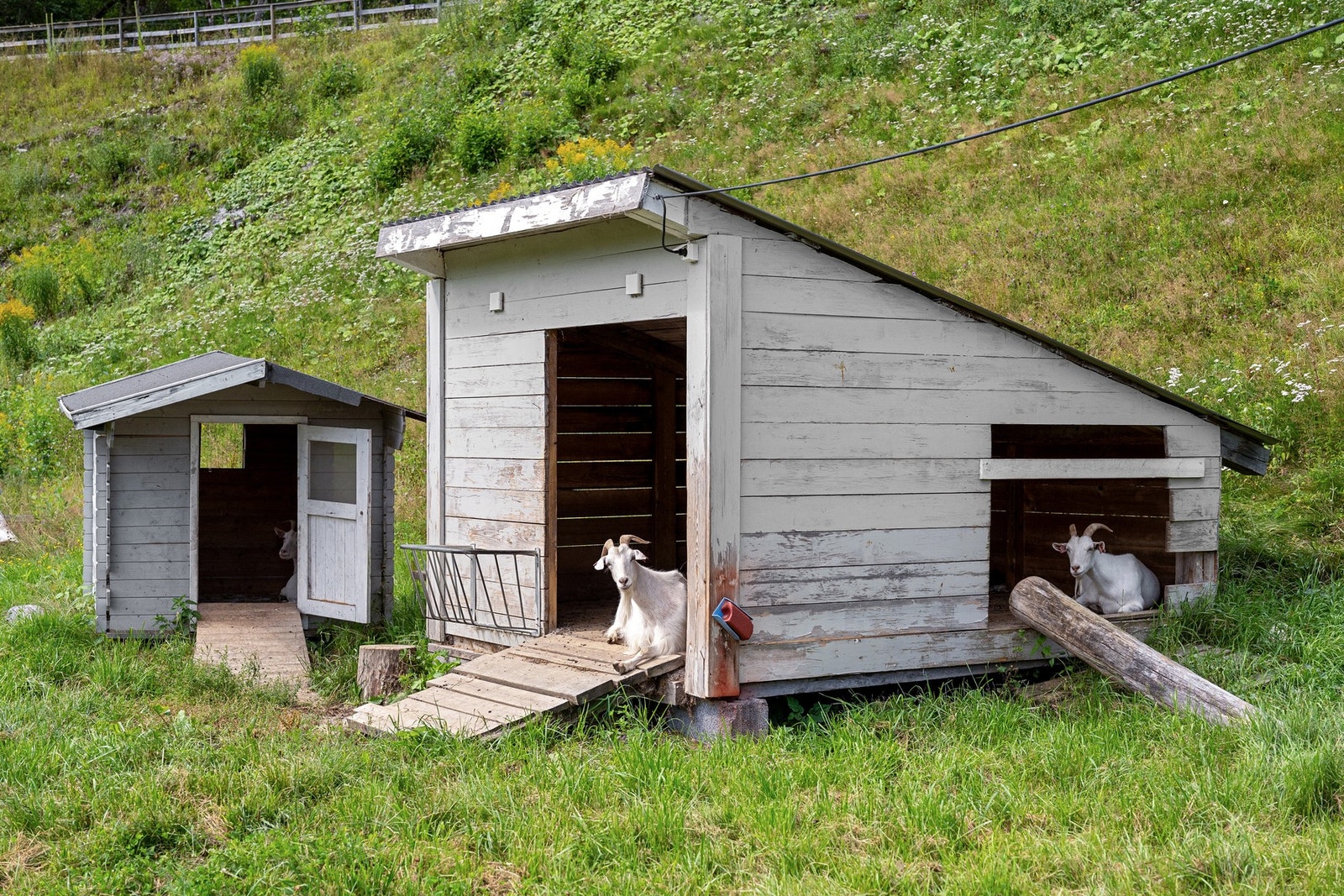 Angående driveplikten: Det holder med å ha beite for dyr, f.eks geiter. Nåværende eier har i dag beite til egne og naboeiendommens dyr. Galleribilde