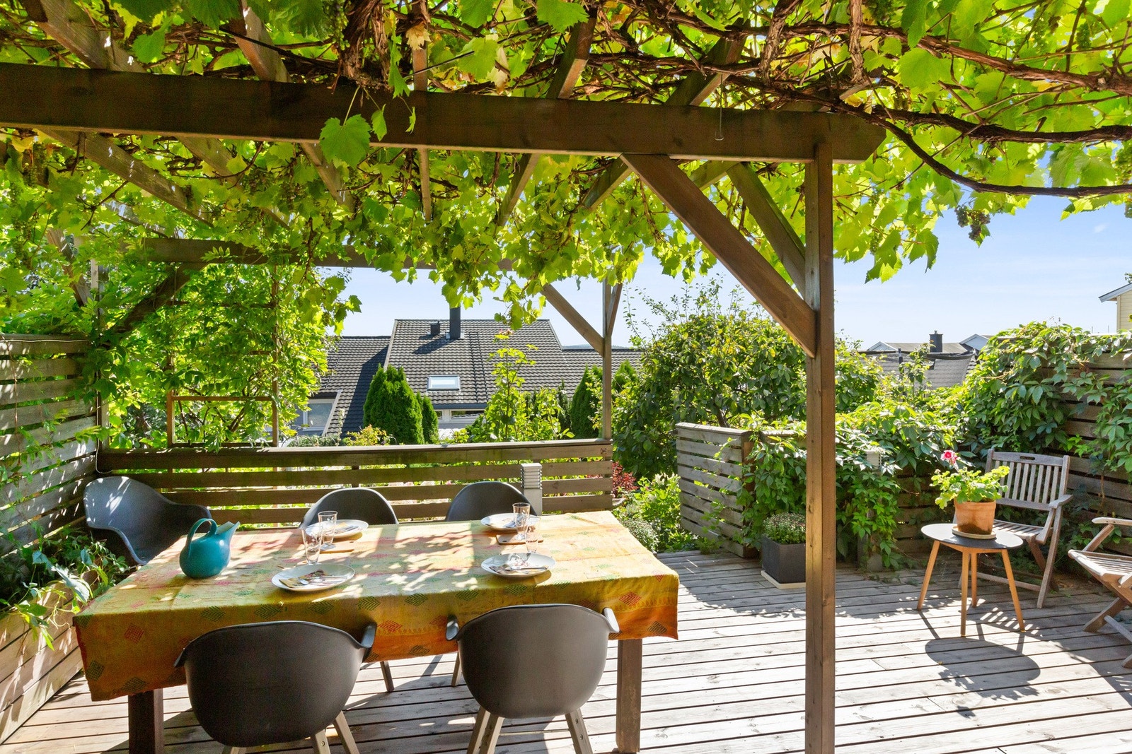 Her kan du spise middager under vinrankene. Galleribilde