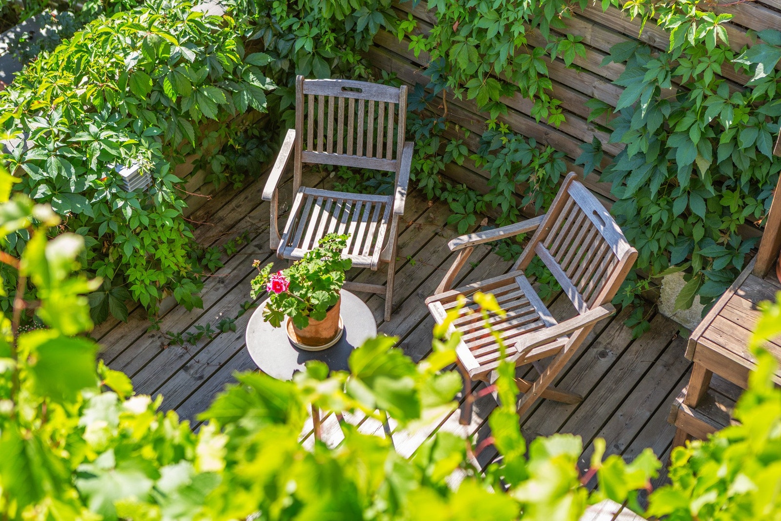 På solfylte dager vil du alltid finne et sted i le, i solen eller i fredelige omgivelser. Galleribilde