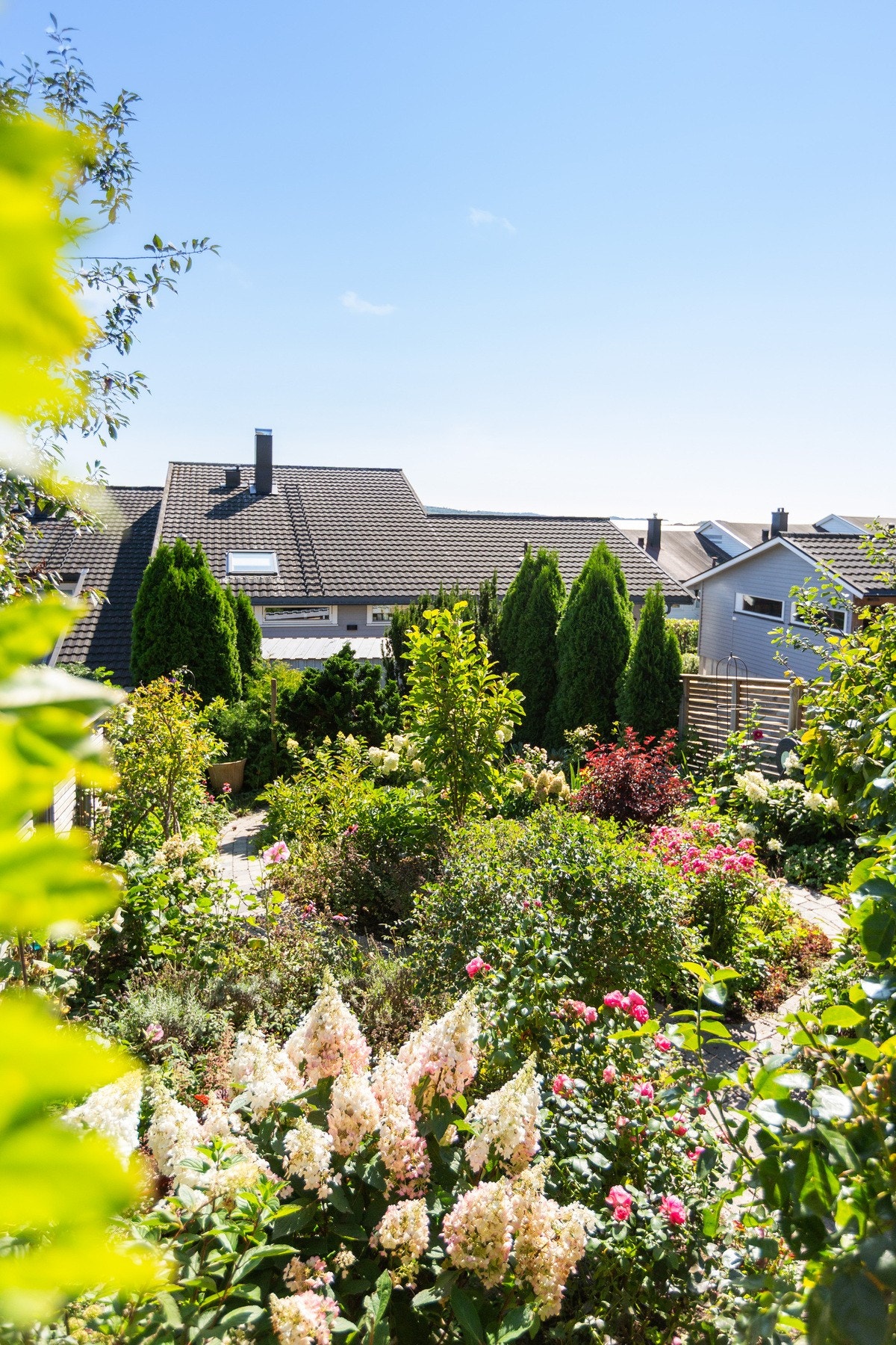 Utsikt mot hagen. Galleribilde
