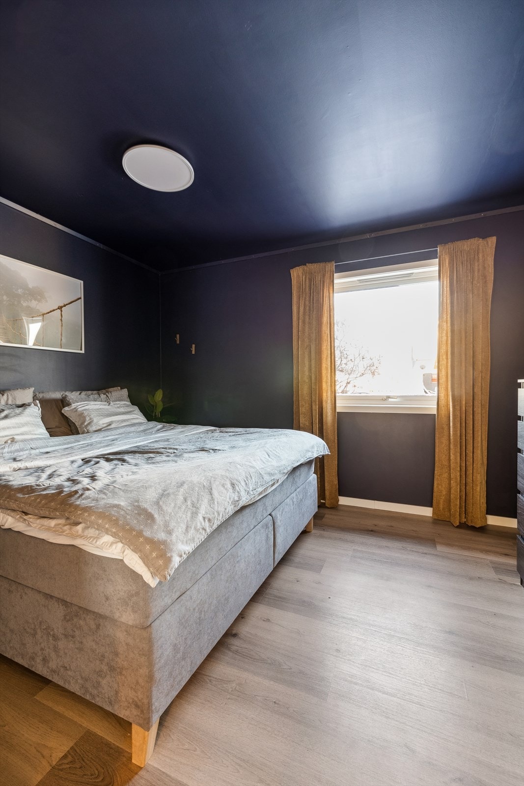 Hovedsoverom Galleribilde