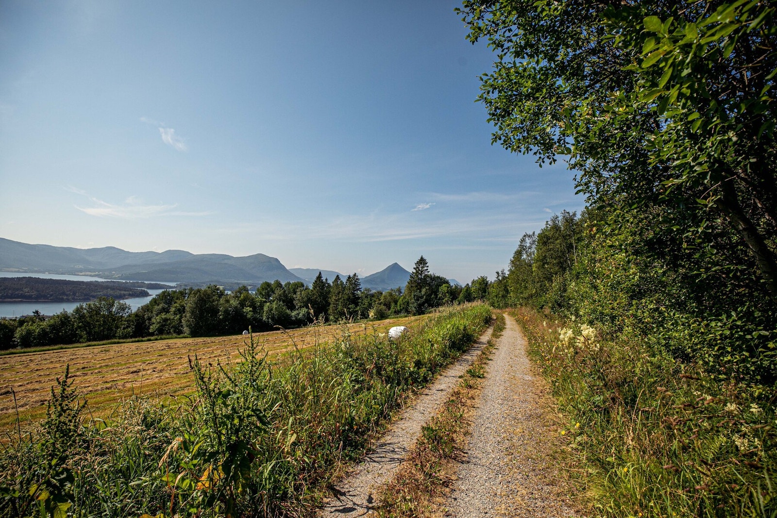Her bor man tett på naturen, omgitt av skogsområder og med flotte turstier rett utenfor døren. Selgers bilde Galleribilde